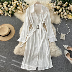 Casual Chic Long Sleeve A-line Streetwear Midi Long Dress