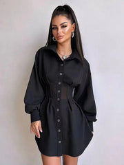 Casual Lapel Long Sleeve Loose Office Mini Dress