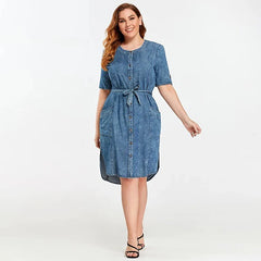 Slim Fit Casual Woven Denim Dress