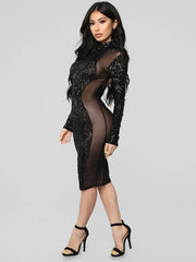 Sequin Crewneck Long Sleeve Backless Sheer Club Bodycon Dress