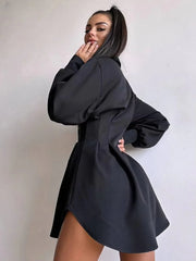 Casual Lapel Long Sleeve Loose Office Mini Dress