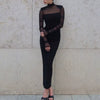 Elegant Mesh Patchwork Full Sleeve See Through Turtle Neck Maxi Dress