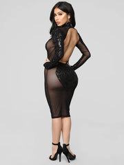 Sequin Crewneck Long Sleeve Backless Sheer Club Bodycon Dress