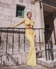 Elegant Long Sleeve Mesh Bodycon Nightclub Ankle-Length Maxi Dress