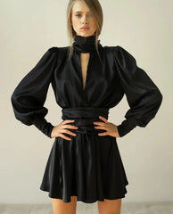 Elegant Loose Turtleneck Long Sleeve Streetwear Hollow Out Mini Dresses