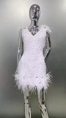Luxury Feather Sequins Embroidery Regular Fit Mini Dress