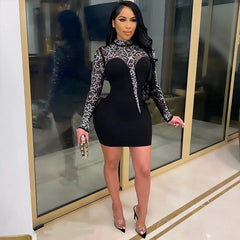 Mesh Rhinestone Long Sleeve Bodycon Dress