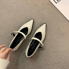Elegant Pointed Toe Heel