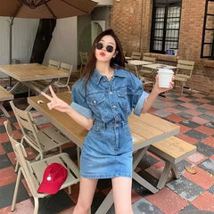 Single-breasted Slimming Turn down collar Short sleeve Mini Dress