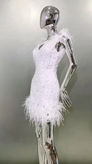 Luxury Feather Sequins Embroidery Regular Fit Mini Dress