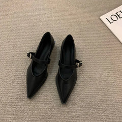 Elegant Pointed Toe Heel