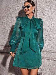 Casual Loose Bow Collar Long Sleeve Elegant Classic Mini Dresses