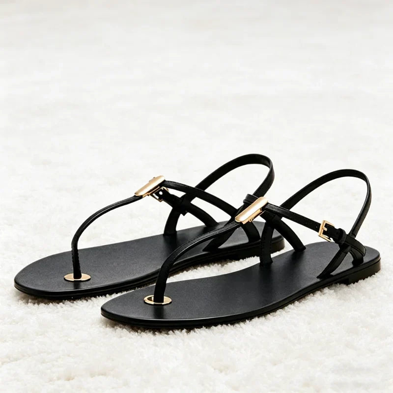 Concise Clip Toe Flat Sandals Ankle Strap Buckle Gladiator Sandals for Girl Luxury Metal Detail Beach Shoes