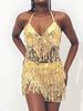 Belly Dance Top Bra Belt Latin Sequin Fringe Halter Hip Skirt Party Costume 4 Layer Tassel Two Piece Set