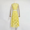 Elegant Round Neck Sleeveless Top High Waist Spliced Lace Embroidery Skirt Two Piece Sets