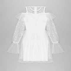 Deep V Neck Hollow Out Lace Full Sleeve Mini Dress