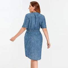 Slim Fit Casual Woven Denim Dress