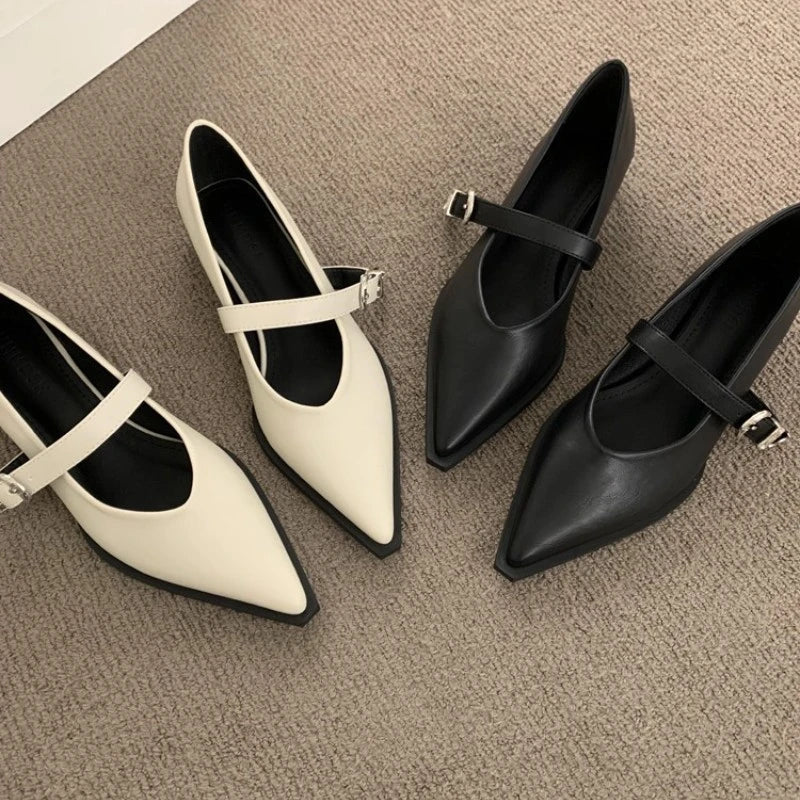 Elegant Pointed Toe Heel