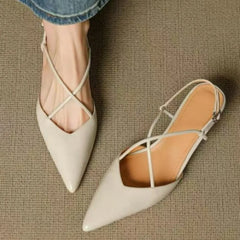 Pointed Toe Low Heel