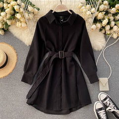 Casual Blouse Turn-down Collar Long Sleeve Short A-line Streetwear Dress