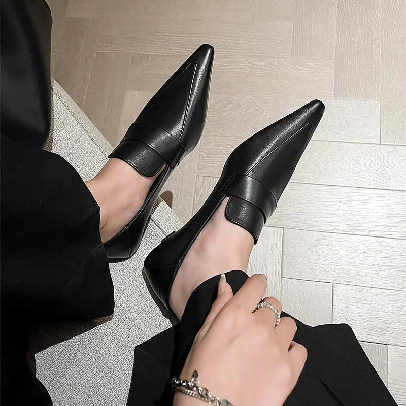Designer Pointed Toe Low Heel